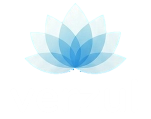 Verzul Logo